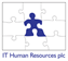 IT Human Resources